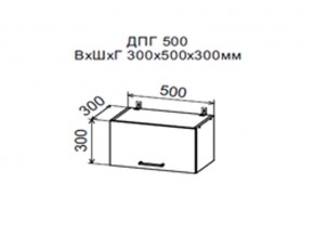 Шкаф верхний ДПГ500 горизонтальный в Краснокамске - krasnokamsk.магазин96.com | фото