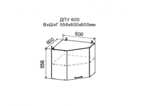 Шкаф верхний ДПУ600 угловой в Краснокамске - krasnokamsk.магазин96.com | фото