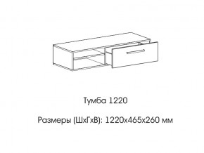 Тумба 1220 (низкая) в Краснокамске - krasnokamsk.магазин96.com | фото